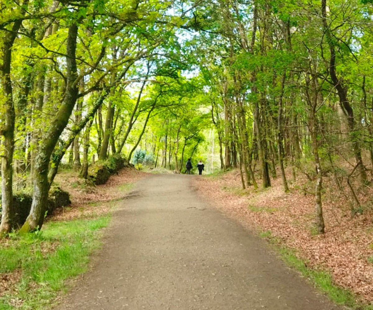 Camino Frances | Sarria - Santiago